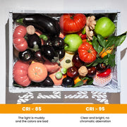 Pocket RGB Fill Light Portable LED Light Video Mini Fill Light for Camera Smartphone for Gopro Laptop Selfie Adjustable RGB Lamp